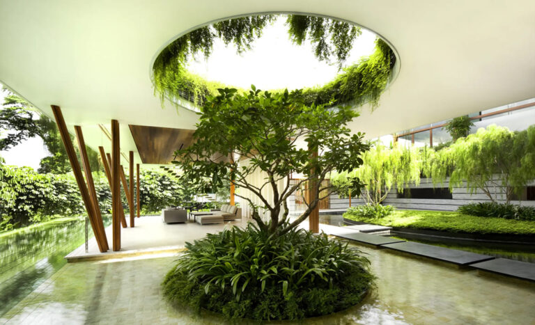 Gravity_Sky_Forest_Img-2